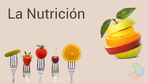 nutricion2